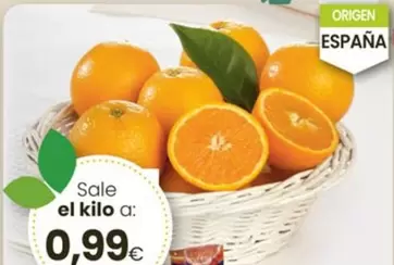 Oferta de Naranja Para Zumo por 0,99€ en Eroski