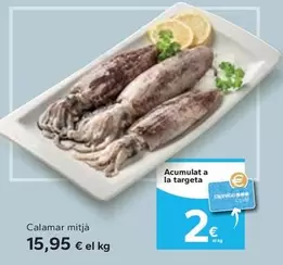 Oferta de Calamar Mitja por 15,95€ en Caprabo