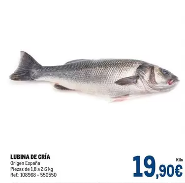 Oferta de Origen - Lubina De Cria por 19,9€ en Makro