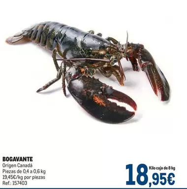 Oferta de Origen - Bogavante por 18,95€ en Makro