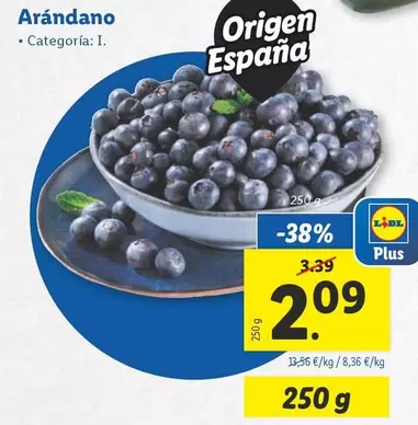 Oferta de Arándano por 2,09€ en Lidl
