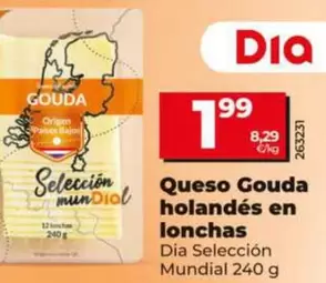 Oferta de Dia Seleccion Mundial - Queso Gouda Holandés En Lonchas por 1,99€ en Dia