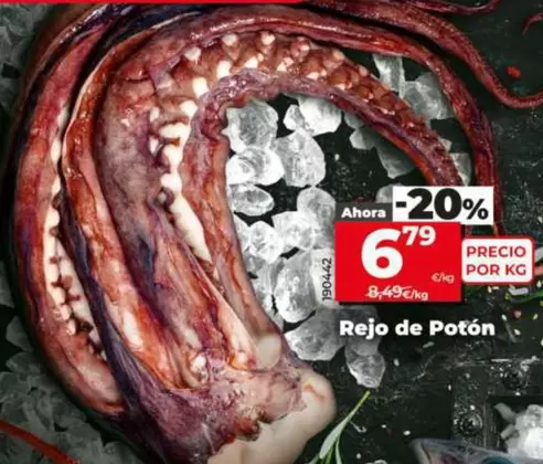 Oferta de Rejo De Potón por 6,79€ en Dia