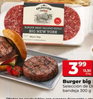 Oferta de Selección De Dia  - Burger Big New York Bandeja 300 G por 3,99€ en Dia