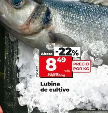 Oferta de Lubina De Cultivo  por 8,49€ en Dia