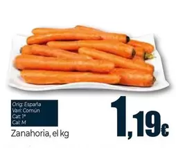 Oferta de Zanahoria por 1,19€ en Unide Supermercados